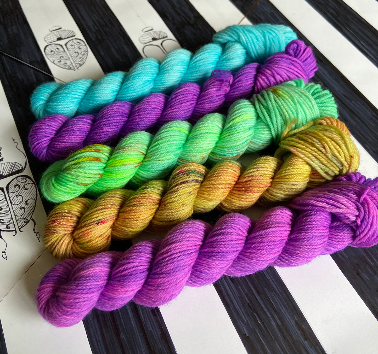 Miss Argentina Sock Set