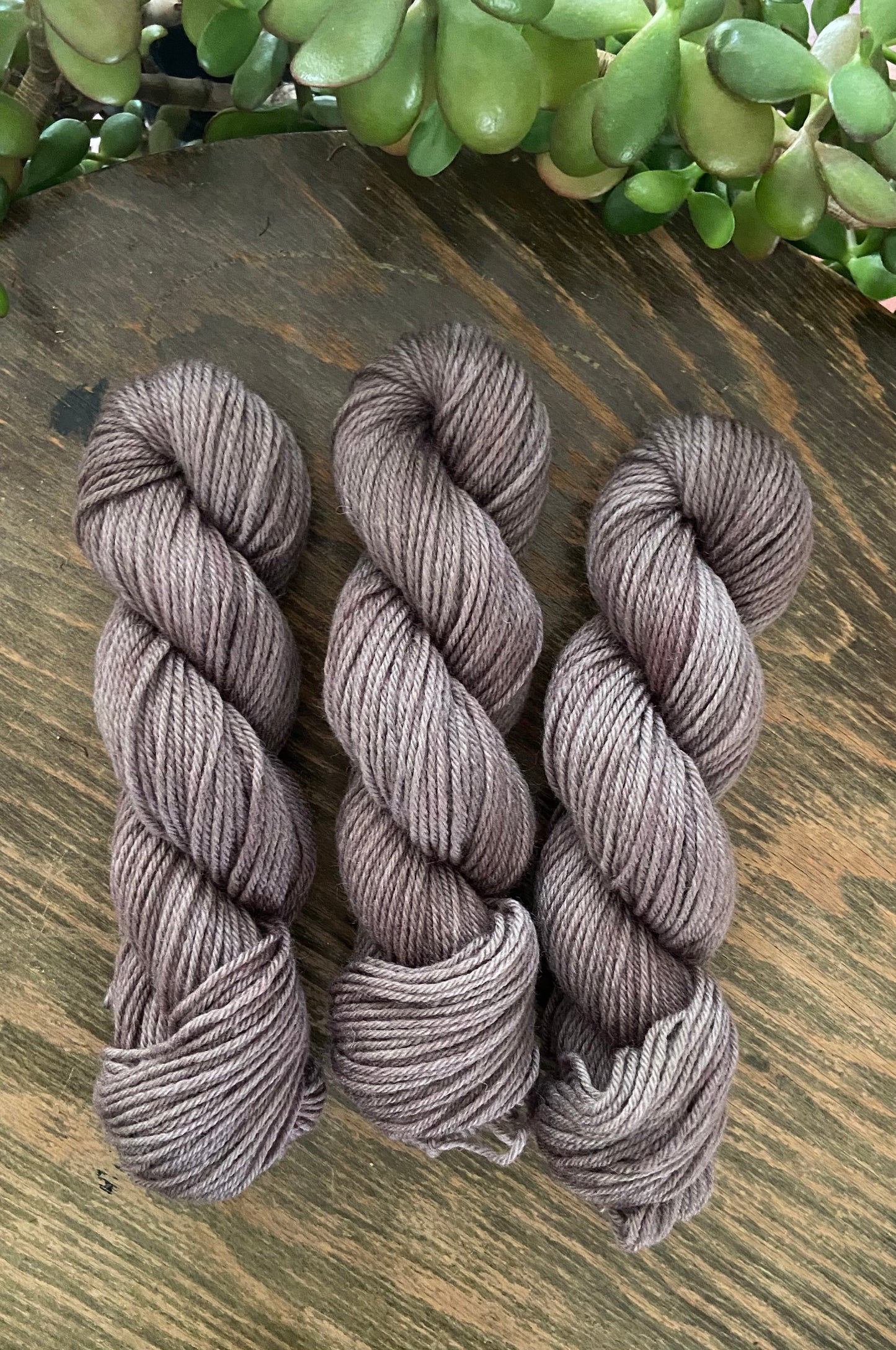 Semi Solid Tonal Dark Botany